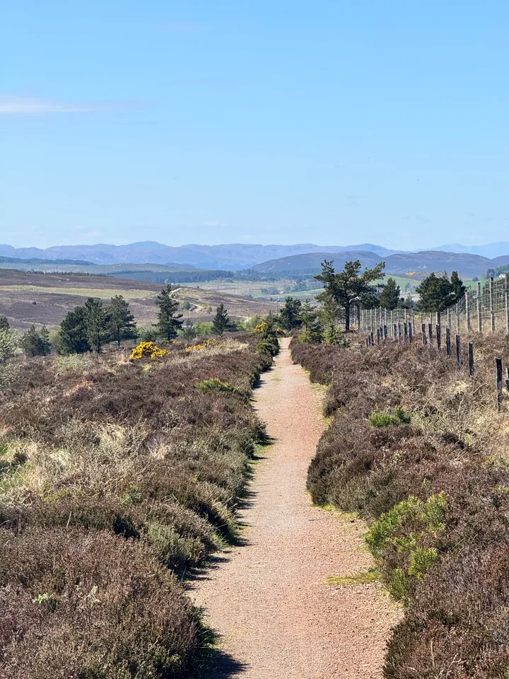 Slowing Down, Building Things - hero image